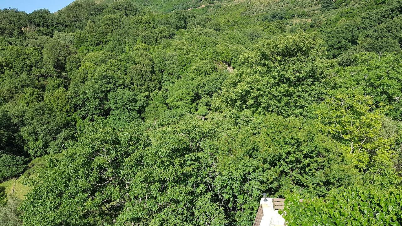 Irini΄S House Villa Alonai Bagian luar foto